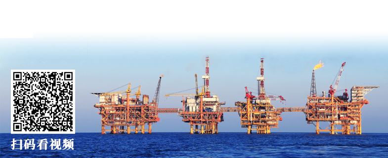 ���ְ�spin8(�й���)�ֻ���ٷ���վ