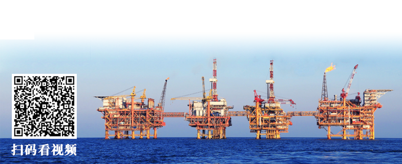 ���ְ�spin8(�й���)�ֻ���ٷ���վ